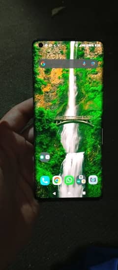 motorola