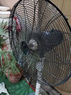 Stand Fan For Sale