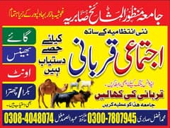 اجتماعی