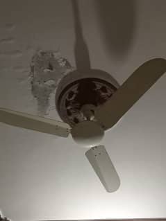6 Breeze fancy fans