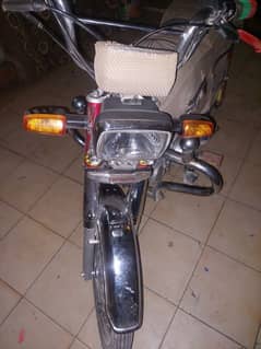 cd 2024 model