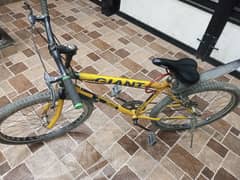 Giant Bicycle