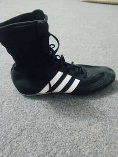 boxing shoes