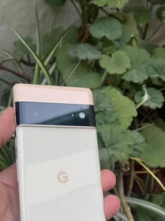 google pixel 6 pro