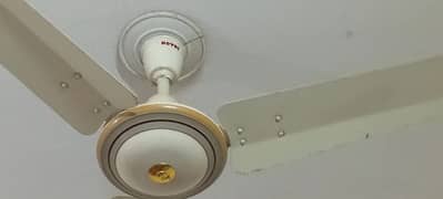 Ceiling Fan