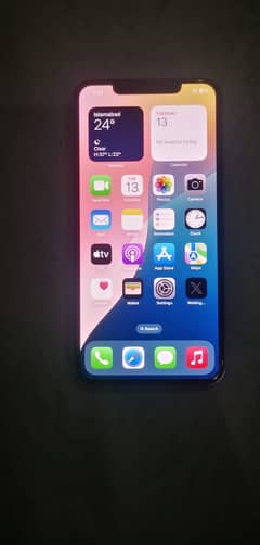 11 Pro Max 256 Gb