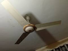 Ceiling fan