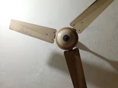 Ceìling fan