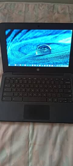 HP