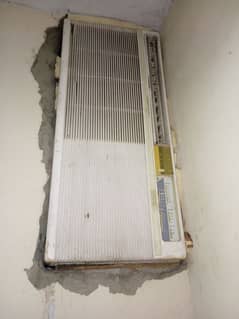 110 Volt AC with its voltage converter.