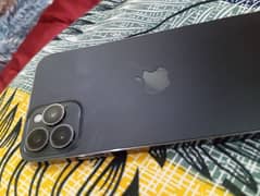 Xsmax Converted into 12 pro max