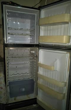 Orient Company 03114447800