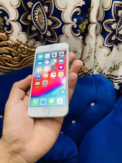 Iphone 6