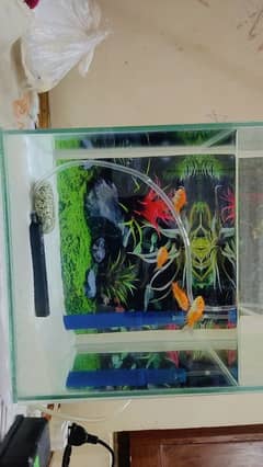 Aquarium