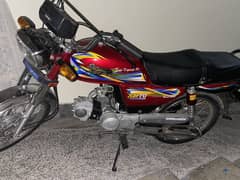 safari 2024 model