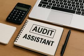 Audit Assistant