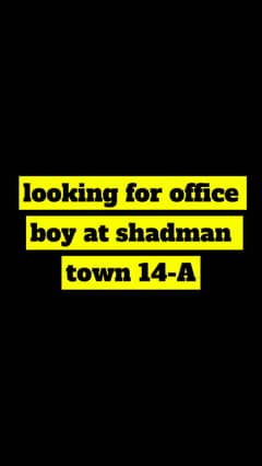 looking for office boy