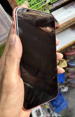 Xr