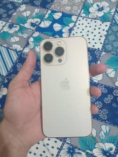 13pro