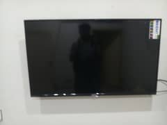 orient led 43 inches