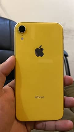 iphone xr 64 gb - jv