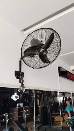 fan