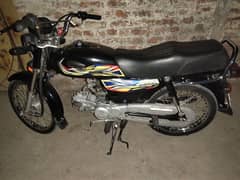 Express 70 Model 2024 10/10