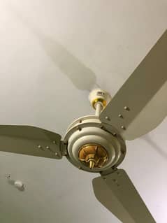 Pak fan only 1 year used