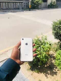 Iphone xr for sale