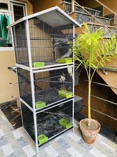 Cage and Cockatiel Breeder Pairs