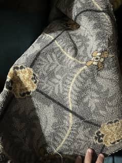 Carpet in good condition