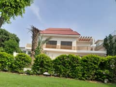 F-11/2 What A Ground Portion (Size 45x100) Very Reasonable Rent