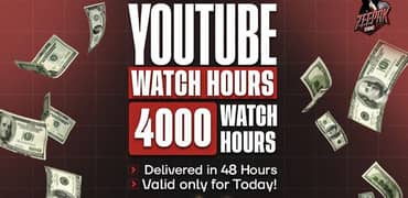 Subscriber. Watch time, Monotization