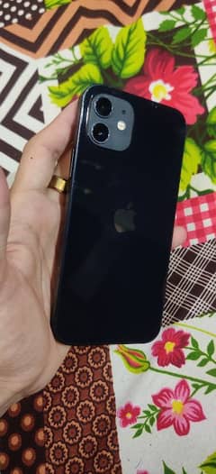 iphone12