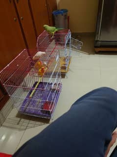 cages