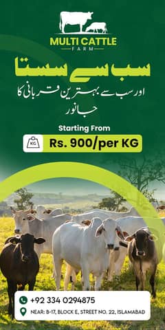 Qurbani janwar starting Rs 900/kg