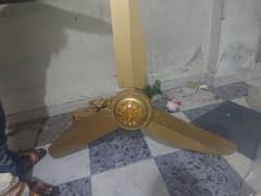 ceiling fan brand new