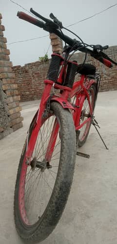 Bicycle