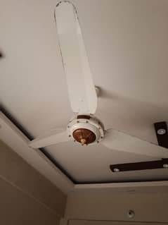 sk fan 4 sale
