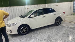 Gli available for rent per day