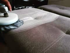 Professional Sofa Carpet Cleaning/Water Tank Cleaning/Mosquito Spray