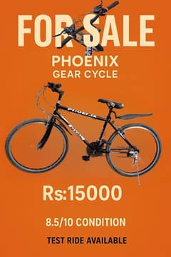 Phoenix Loyal Gear Cycle,