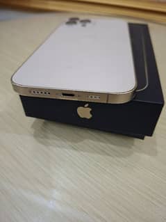 apple 12 Pro Max 256 GB