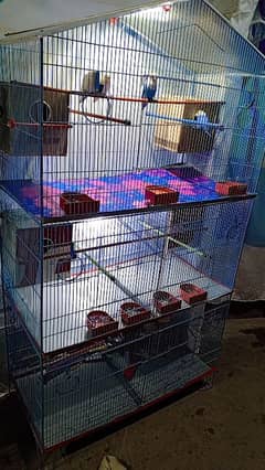 Love birds or Gaje for sale 4 pair