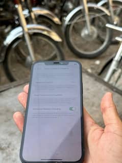 I phone 12
