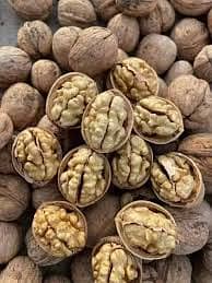 Walnut