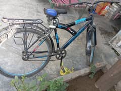 for