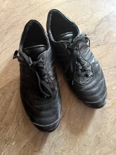 Original CK Leather shoes