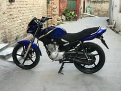 Yamaha ybr 125 for sale