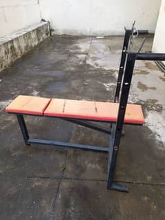 dumbbell Exercise Bench